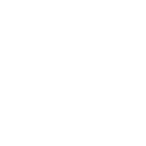 QRorpa Logo